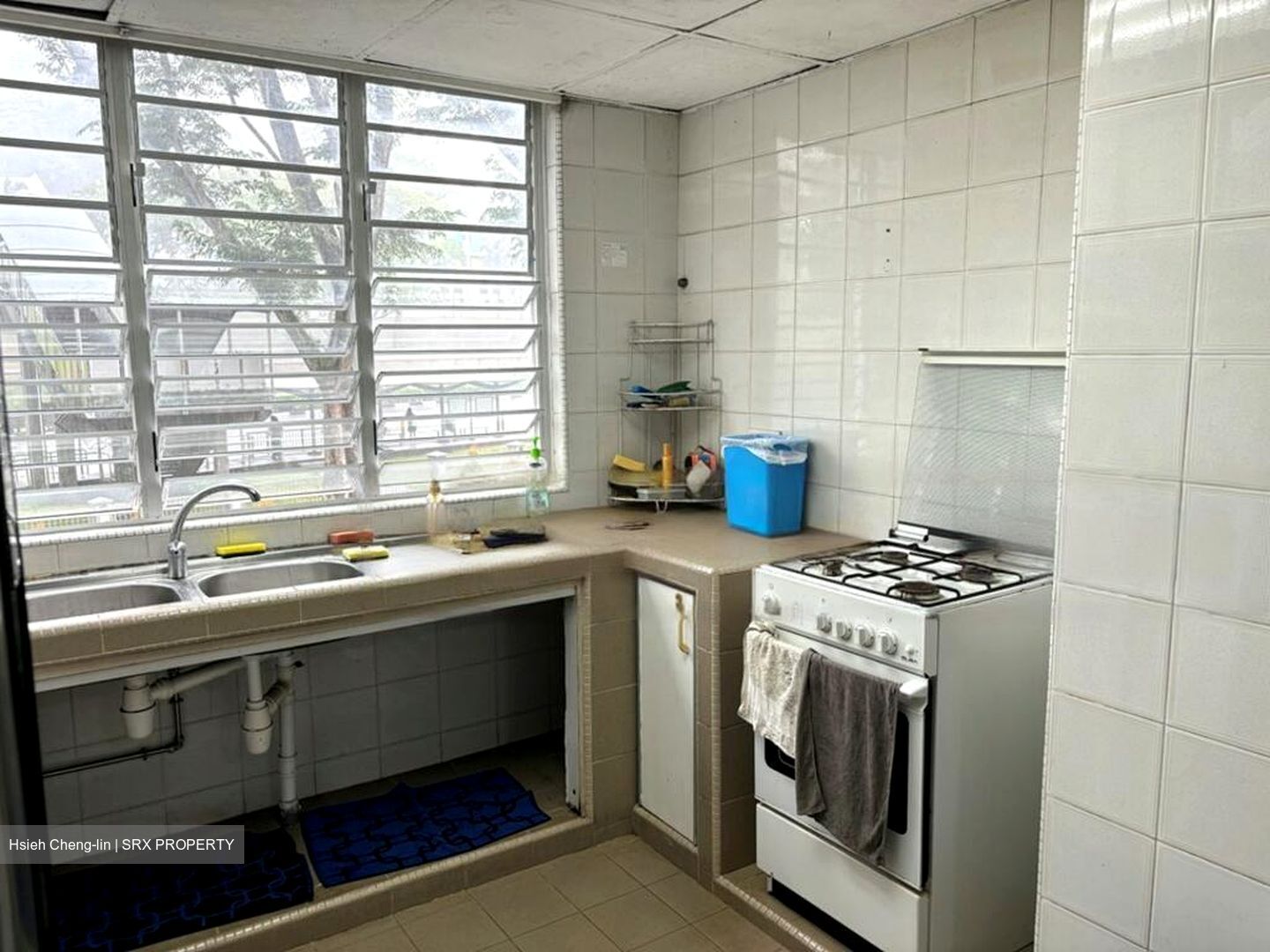 Pandan Valley (D21), Condominium #490524111